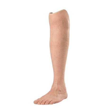 The meaning and symbolism of the word - «Leg»