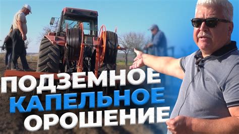 Создание самого технологичного сада фундука в Молдове // Подземное ...