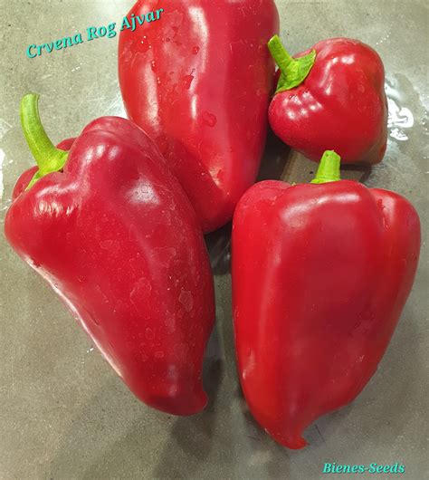 Paprika Crvena Rog Ajvar (2020) - Bienes-Seeds