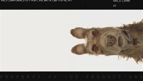 wes anderson announces  stop motion film isle  dogs fstoppers
