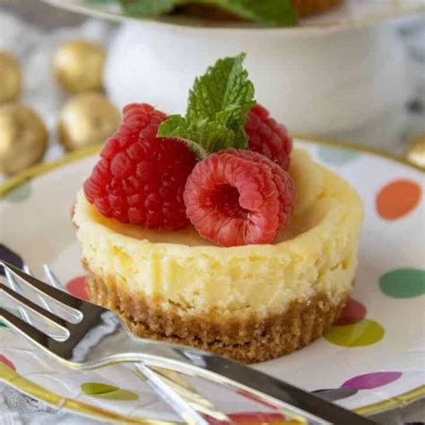 Mini New York Cheesecake Recipe - Mindee's Cooking Obsession