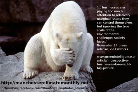 Polar Bear facepalm: “Businesses are paying too much attention to ...