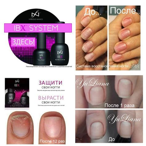 IBX System - руководство по применению