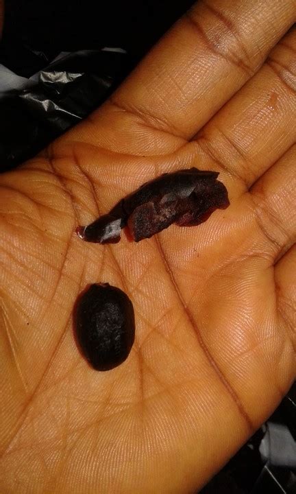 Nigerian Names Of Herbs And Plants - Food (8) - Nigeria