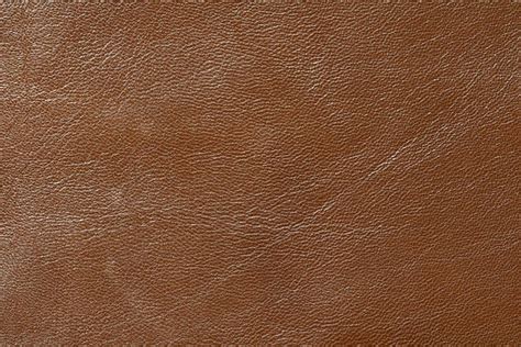 Leather Sheepskin Goat - Free photo on Pixabay - Pixabay