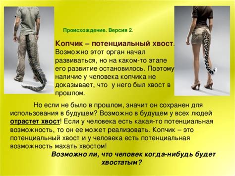 Презентация " Есть ли у человека хвост?"
