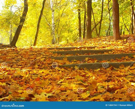 fall   park stock photo image  color stone nature