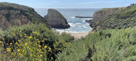 Bonny Doon Beach and Shark Fin Cove Loop, California - 674 Reviews, Map