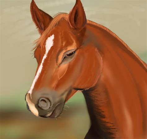 Grumpy horse by DoubleHellhound on DeviantArt
