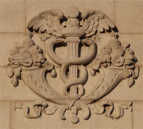 Terranova (Revista de Cultura, Crítica y Curiosidades) : El Caduceo de ...