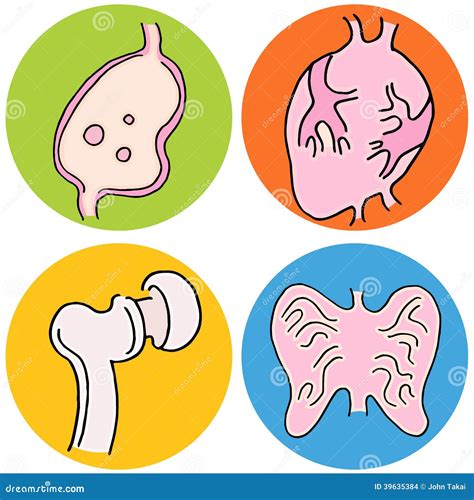 Biologie Humaine Une Approche Visuelle Manuel Ete 4