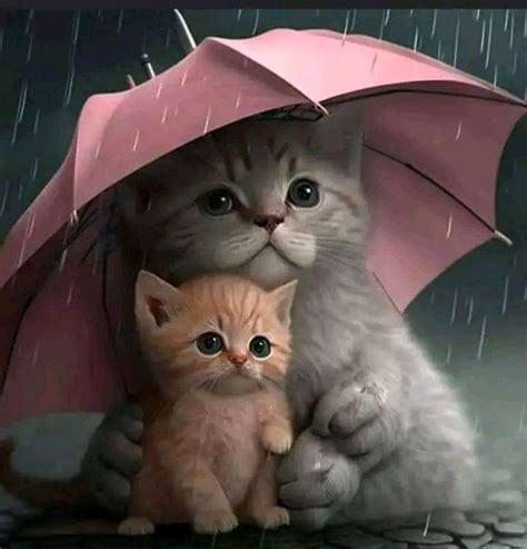 Теплые коты. Пост со стены. | Cute cats, Cute cats and dogs, Cute cat ...