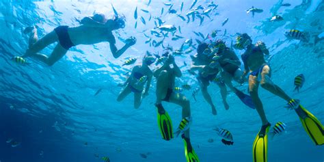 Spring Break 2022 in Cabo San Lucas | Things to Do in Cabo