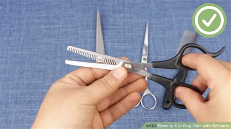 how to cut dog hair scissors