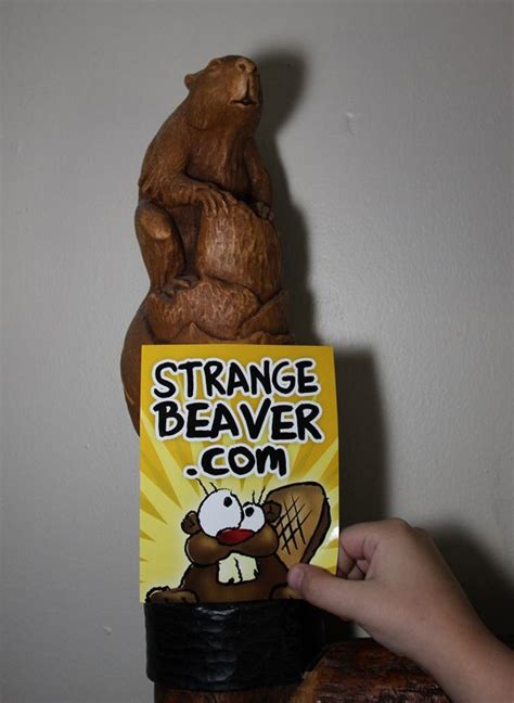 17 Best images about Show Us Your Beaver on Pinterest