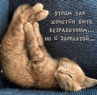 Все открытки от автора ГАЛИНА ТИМОФЕЕВА