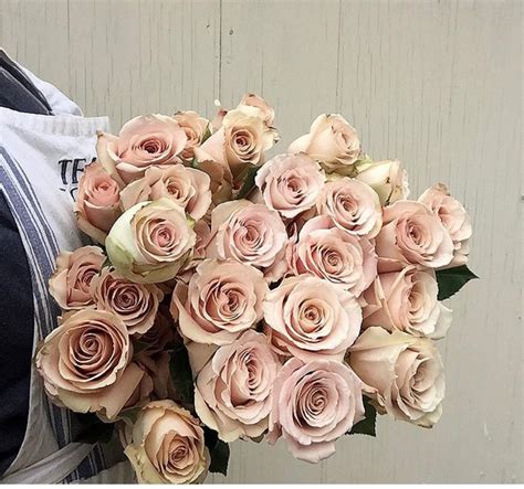 Quicksand Rose | Wholesale flowers, Wholesale roses, Flower delivery