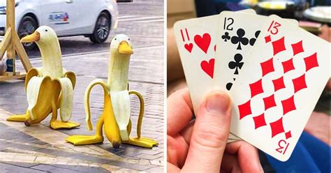 35 Curious Photos Where Crazy Things Are Happening That Can’t Be ...