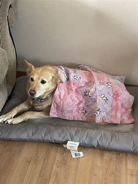 bowblax’s little slut🇨🇦 (@SBowblax) / Twitter