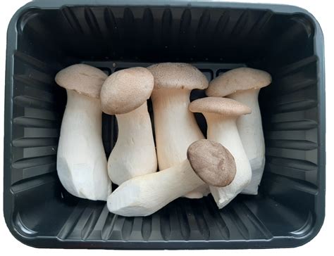 Продукция