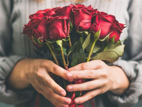 woman holding bouquet  red roses stock illustration illustration