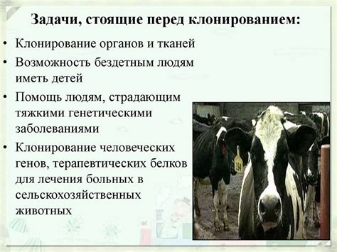 Биотехнологии. Клонирование - презентация онлайн