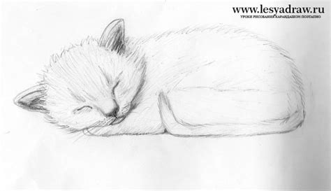 Как нарисовать котенка?