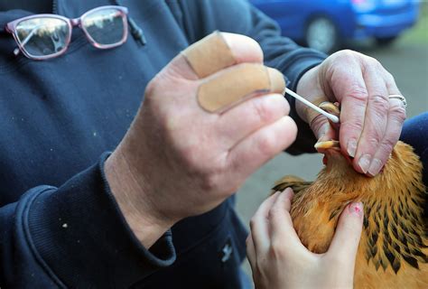 What to know about the FDA's latest COVID-19 vaccine changes