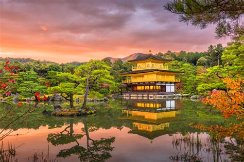 Kyoto Has the Best FREE Tour Guides In Japan - Tea Ceremony Japan ...