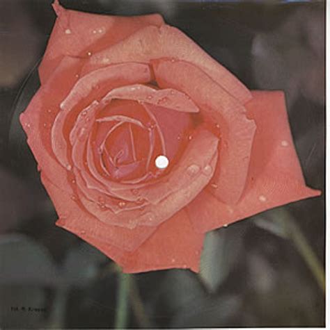 Olivia Newton John Suddenly - Flexidisc Polish 7" vinyl — RareVinyl.com