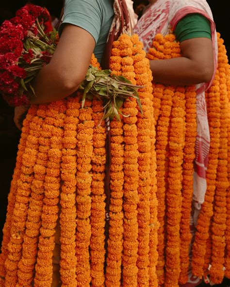 Michelle Ospino | The Independent Photographer