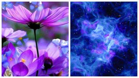 Сочетания с фиолетовым цветом: color_harmony — LiveJournal