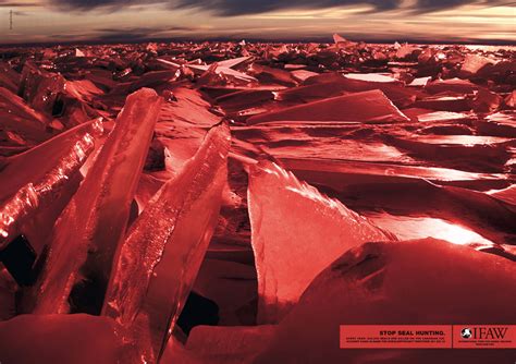 red ice ads   world part   clio network