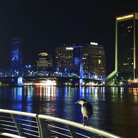 Urban planners explain the future of downtown jacksonville jacksonville 16