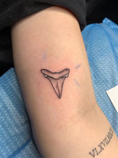 Shark Tooth Tattoo