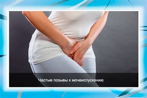 Частое мочеиспускание: симптомы, причины, лечение и профилактика