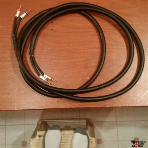 11 Foot Pair of Neotech NES 5001 Speaker Cable For Sale - Canuck Audio Mart