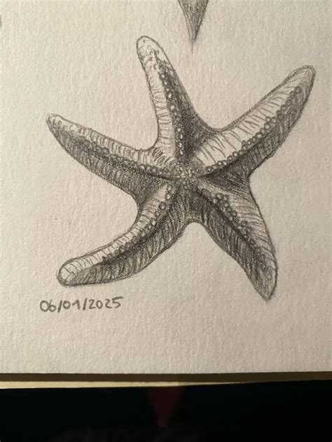 starfish drawing easy 6