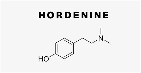 Hordenine: Uses, Side Effects, Interactions, Dosage and Supplements