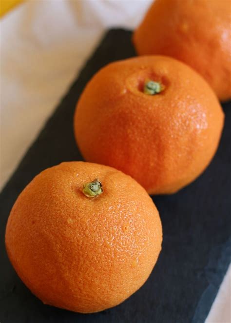 AGROBAR LLC - Producer of natural frozen fruit purees in Moscow