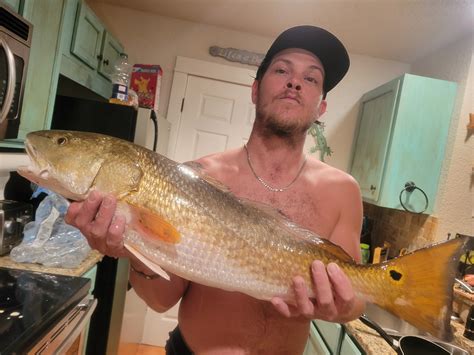 Ladyfish Landing-Island Vacation Home