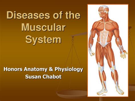 PPT - Diseases of the Muscular System PowerPoint Presentation, free ...