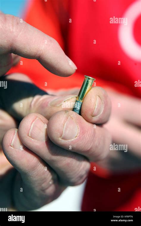 22 caliber bullet hi-res stock photography and images - Alamy