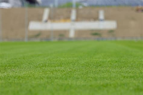 Porn en el campo visited the lovely Victoria several times.