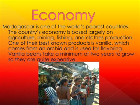 PPT - Madagascar PowerPoint Presentation, free download - ID:1978031