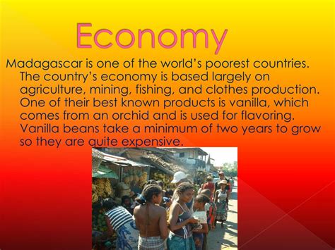 PPT - Madagascar PowerPoint Presentation, free download - ID:1978031