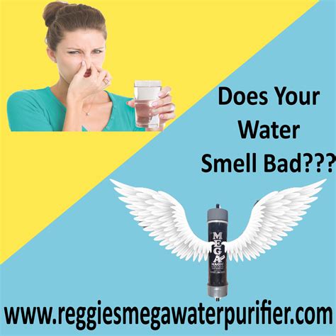 Bad Smell In your Water? – Reggies Mega Water Purifier