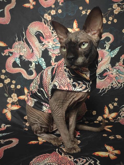 Japanese Dragon - Sleepwear · Sphynx Swag · Online Store Powered by