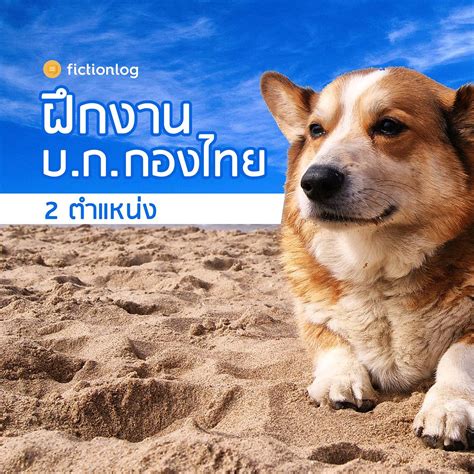 Fictionlog - ตามหาน้องฝึกงานผู้ช่วยบรรณาธิการไทย / จีน รวม...