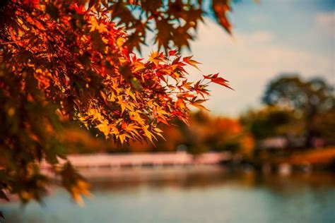 When is the Best Time to Visit Japan? - Boutique Japan